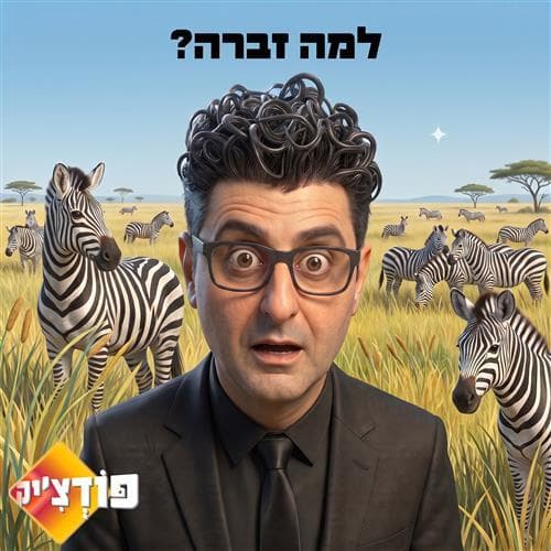 למה זברה?
